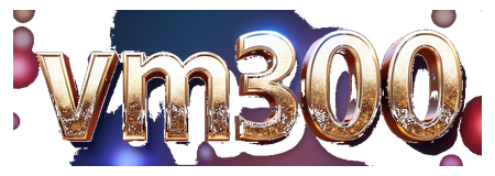 vm300 logo